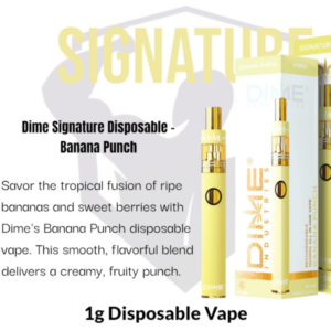 Dime Industries: Banana Punch 1000mg All in One Device
