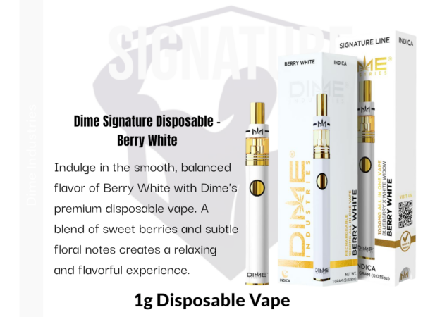 Dime Industries: Berry White 1000mg All in One Device