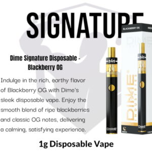 Dime Industries: Blackberry OG 1000mg All in One Device