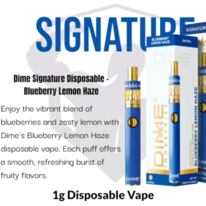 Dime Industries: Blueberry Lemon Haze 1000mg All in One Device