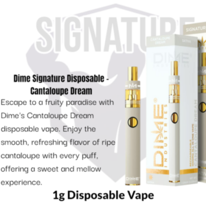 Dime Industries: Cantaloupe Dream 1000mg All in One Device