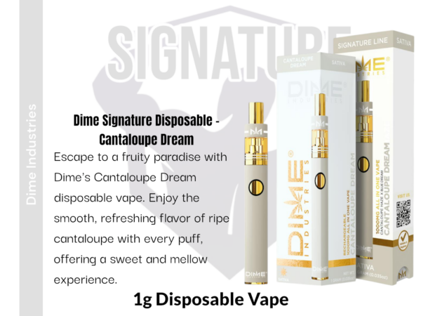 Dime Industries: Cantaloupe Dream 1000mg All in One Device